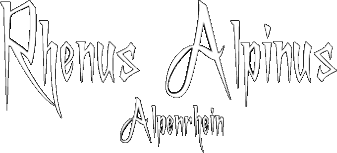 Rhenus Alpinus